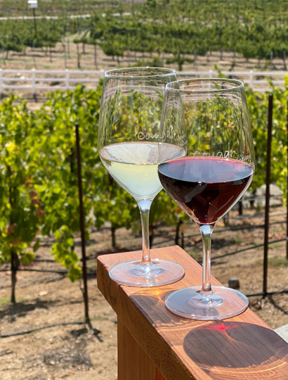 Deportola-Wines-Trail-Wine-Glasses