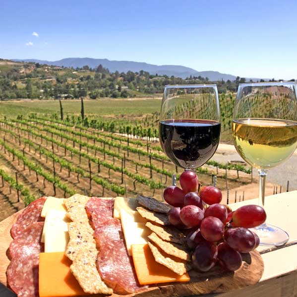 Frangipani-Estate-Winery-Wine-and-cheese